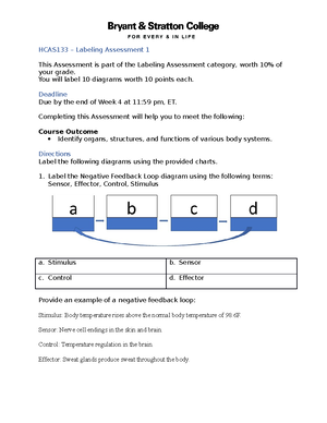 [solved] Share The Pathway Of Urine From Formation To Excretion Below 