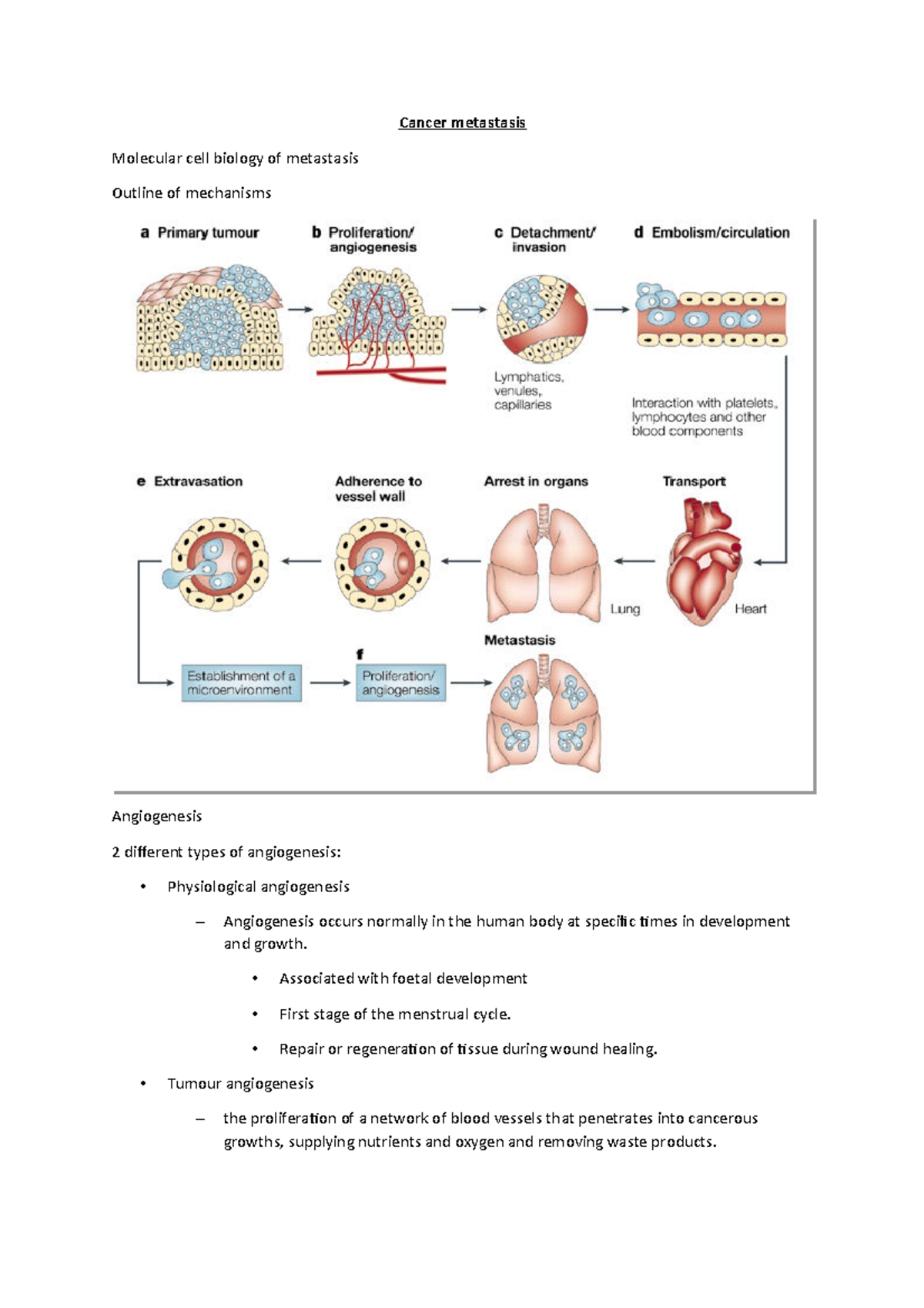 Cancer metastasis - Lecture notes ALL - Cancer metastasis Molecular ...