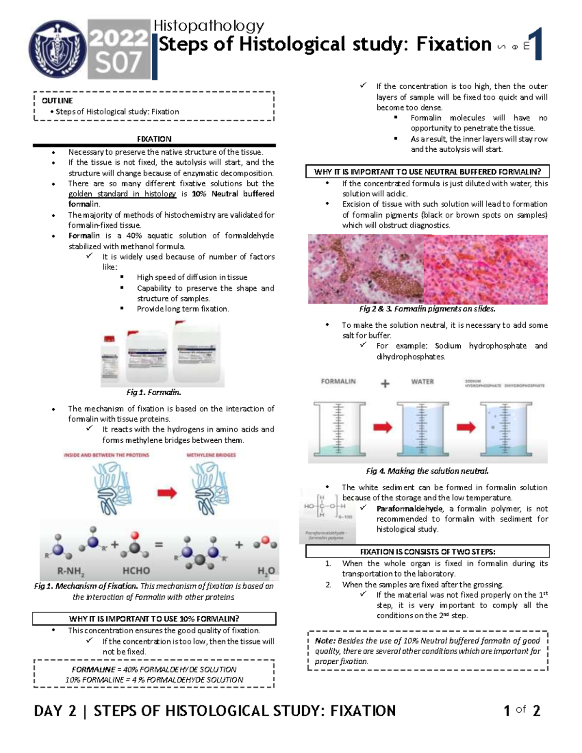 Day 2 Steps of Histological study Fixation (Histopathology) DAY 2