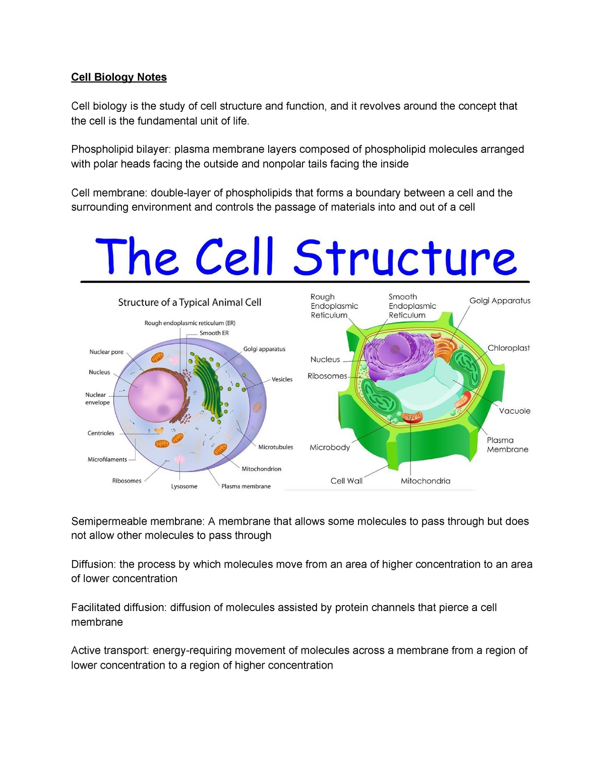 phd thesis cell biology
