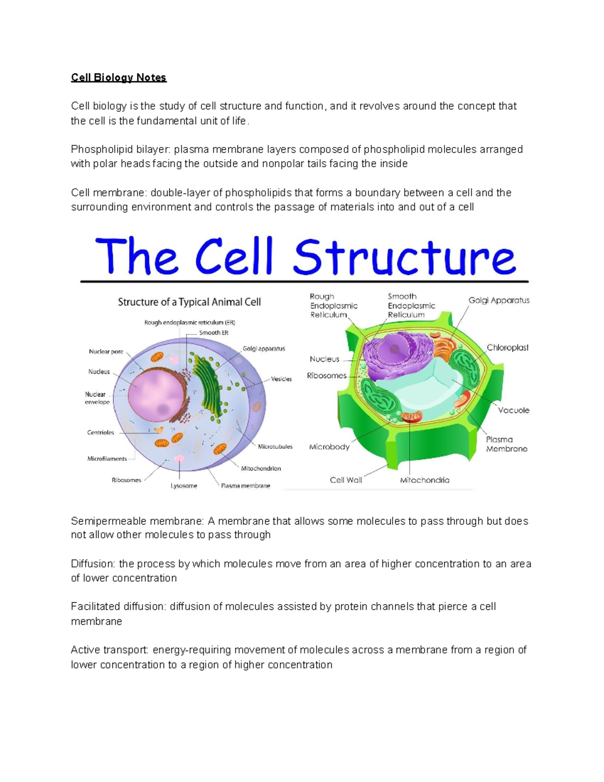 essay about cell biology