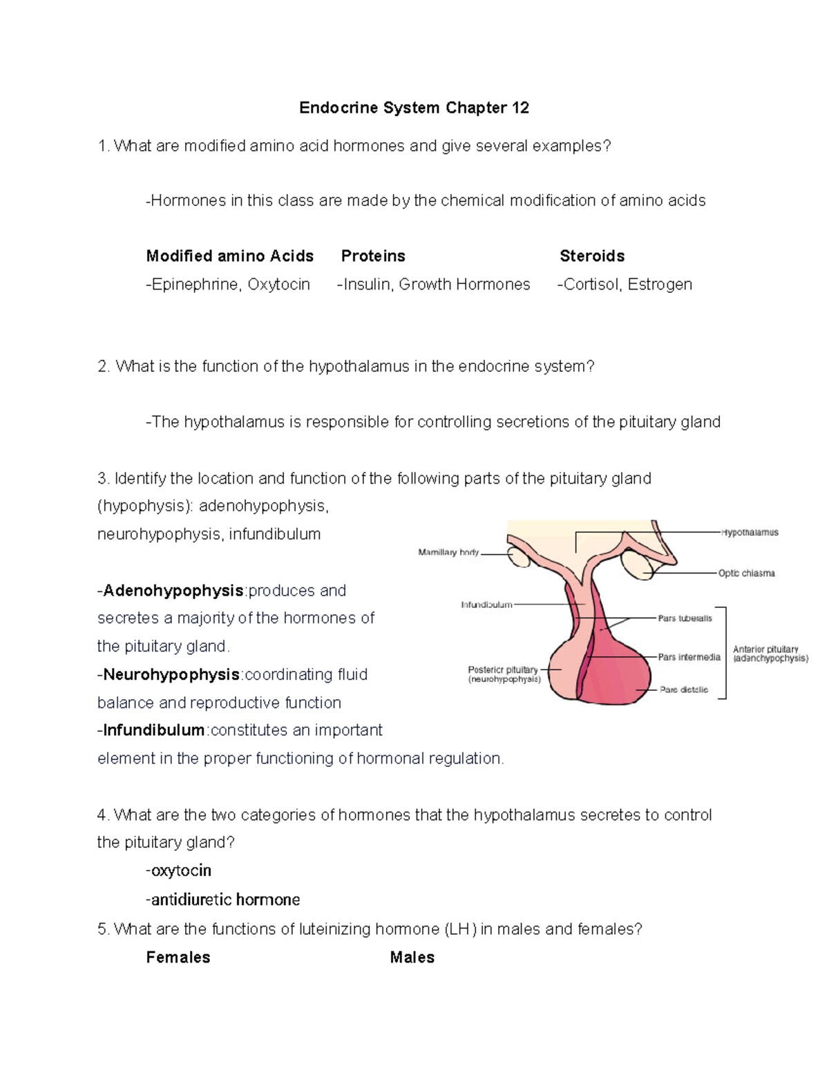 Final Study Guide Endocrine System Chapter 12 What are modified amino