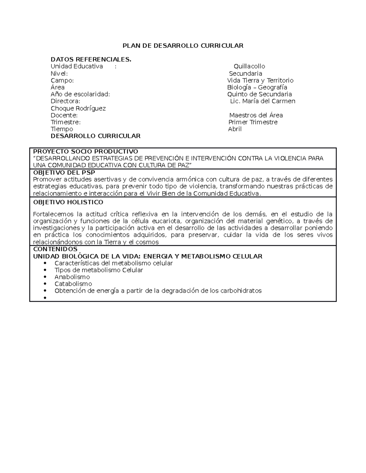 PLAN DE Desarrollo Curricular 5 De secundaria marzo - PLAN DE ...