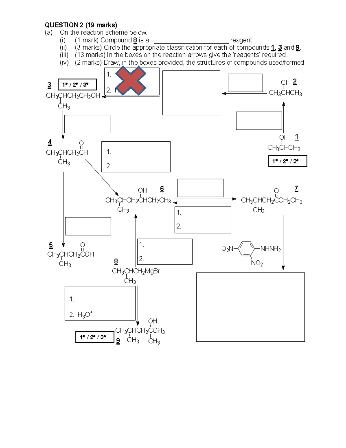 Reaction Scheme Practice Questions - QUESTION 2 (19 marks) (a) On the ...
