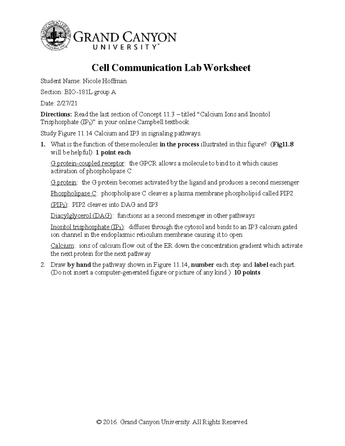 BIO-181L S20 Cell Communication Wksht - Cell Communication Lab ...