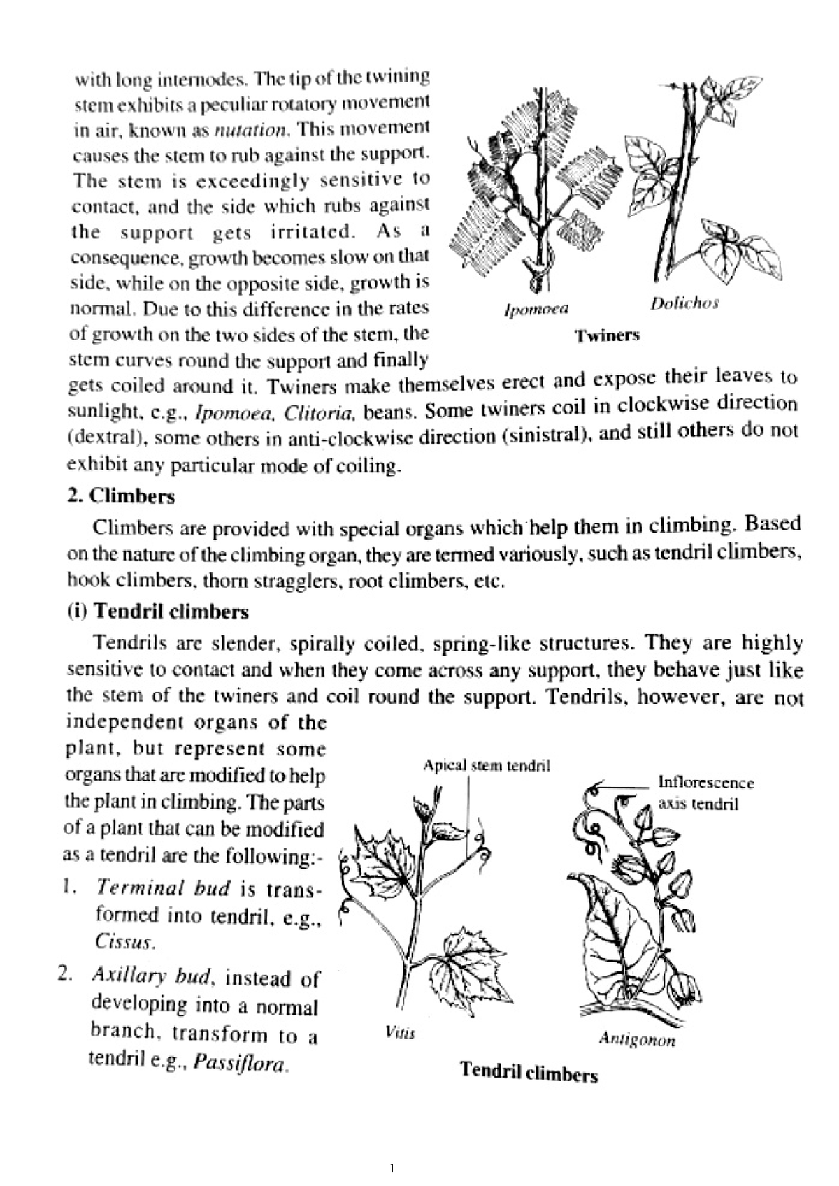 IV - Detailed explanation of flowering plant and it's modification ...