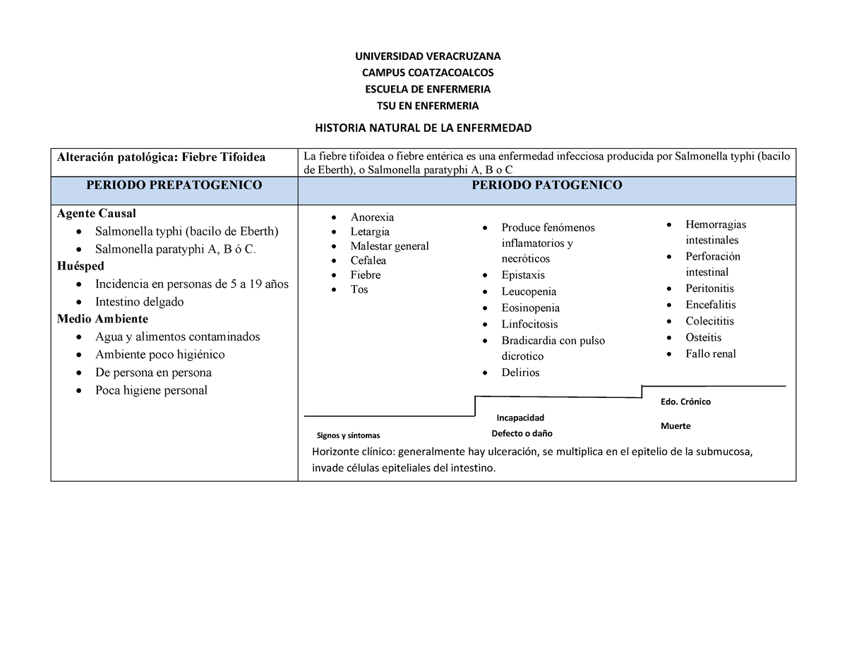 Fiebre Tifoidea HNE alteraciones del niño - HISTORIA NATURAL DE LA  ENFERMEDAD Alteración patológica: - Studocu