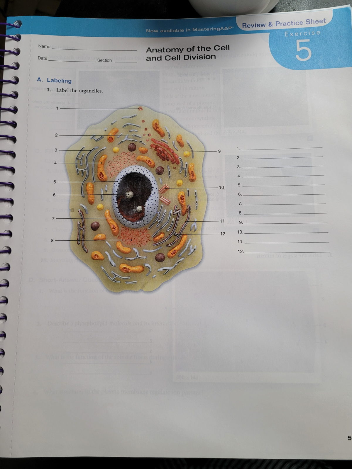 20230310 125805 - this is practice worksheet about labeling the anatomy ...