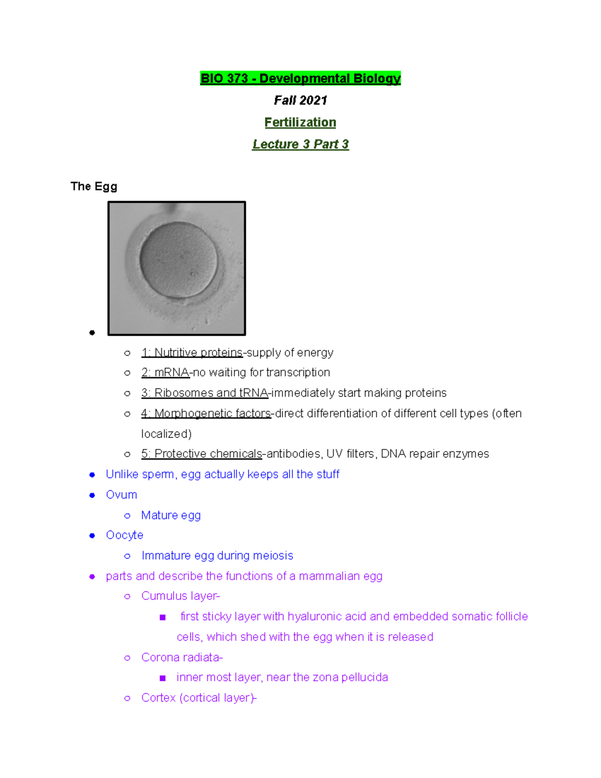 BIO 373 Lecture 3 Part 3 - Fall 2021 - BIO 373 - Developmental Biology ...