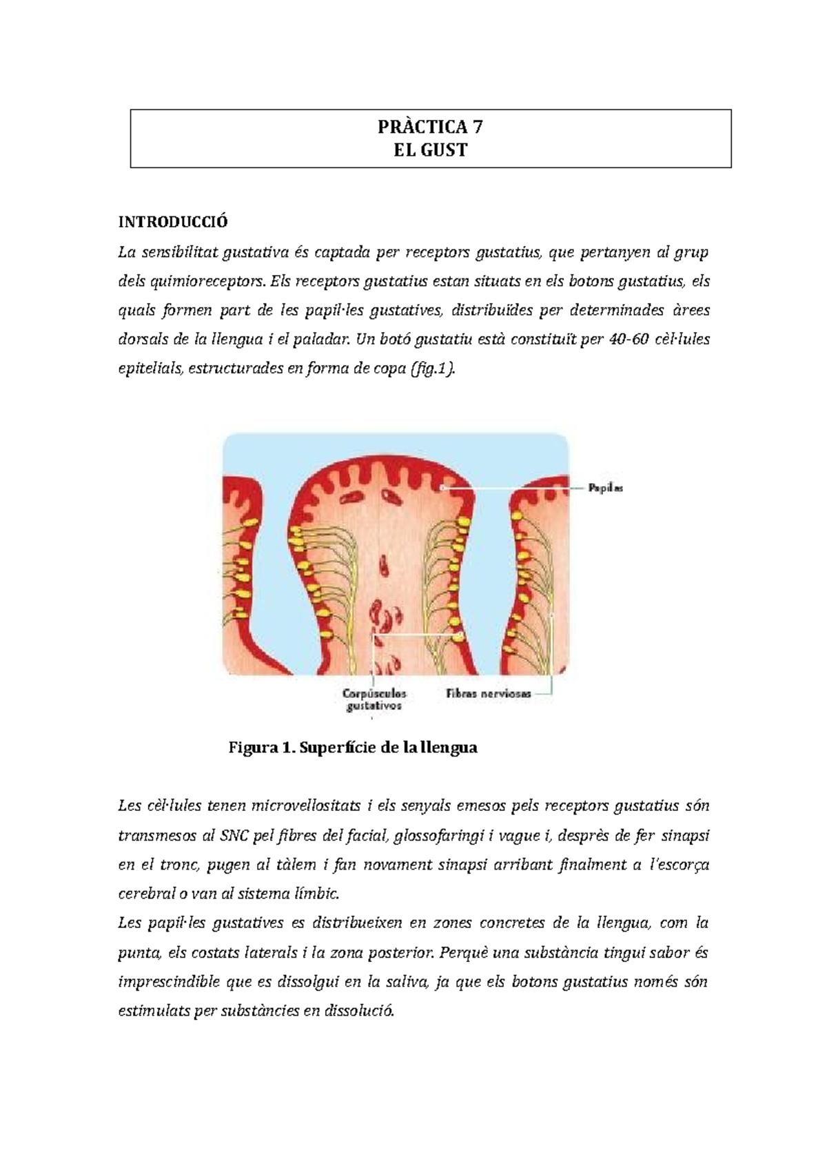 Pràctica 7 El gust Psicologia Biologica - PRÀCTICA 7 EL GUST ...