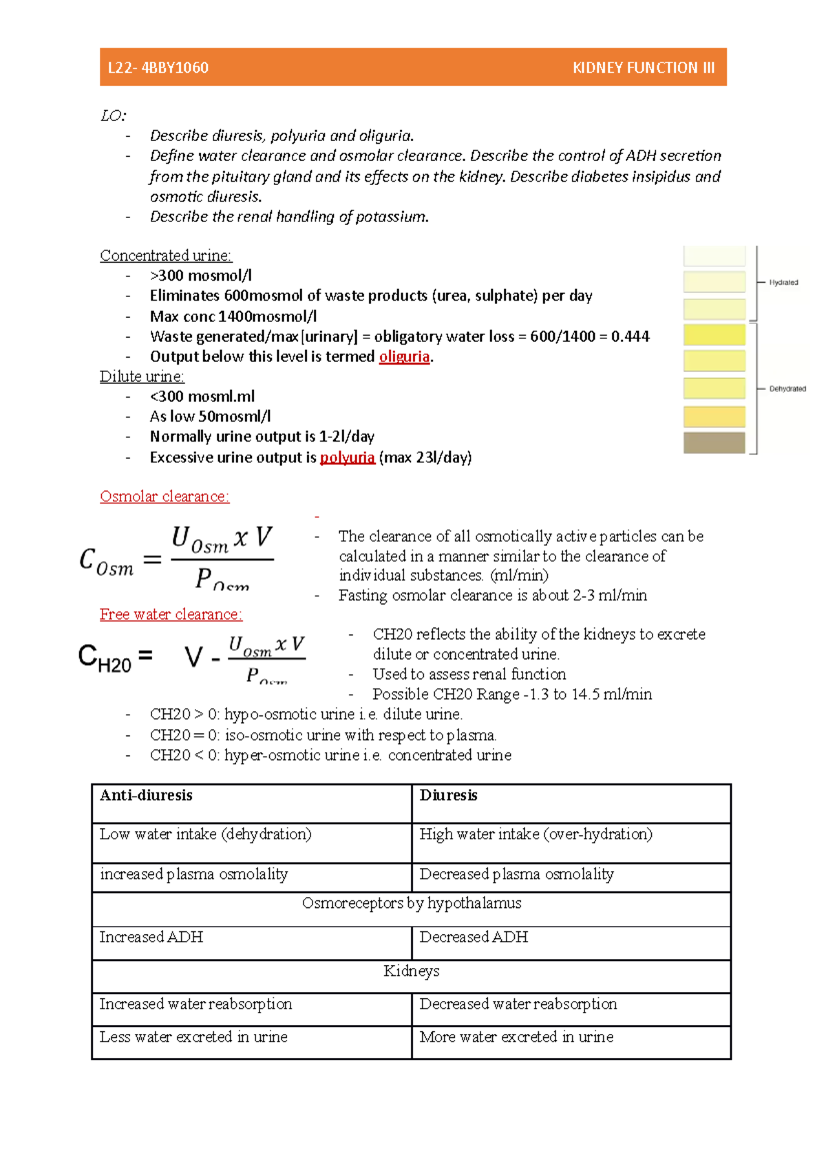 L22 Kidney function III Dilute urine LO _ Describe diuresis