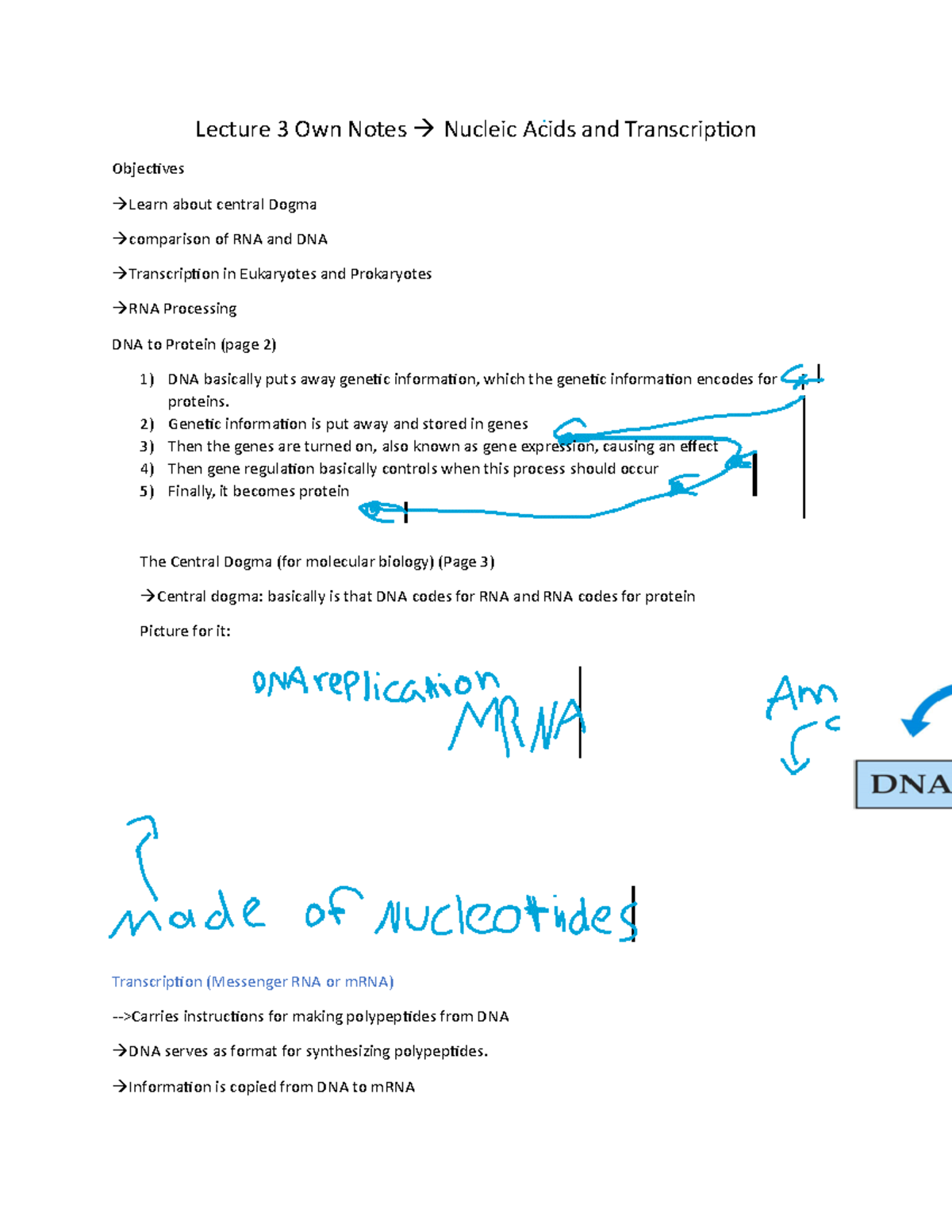 Lecture 3 Own Notes Lecture 3 Own Notes Nucleic Acids and