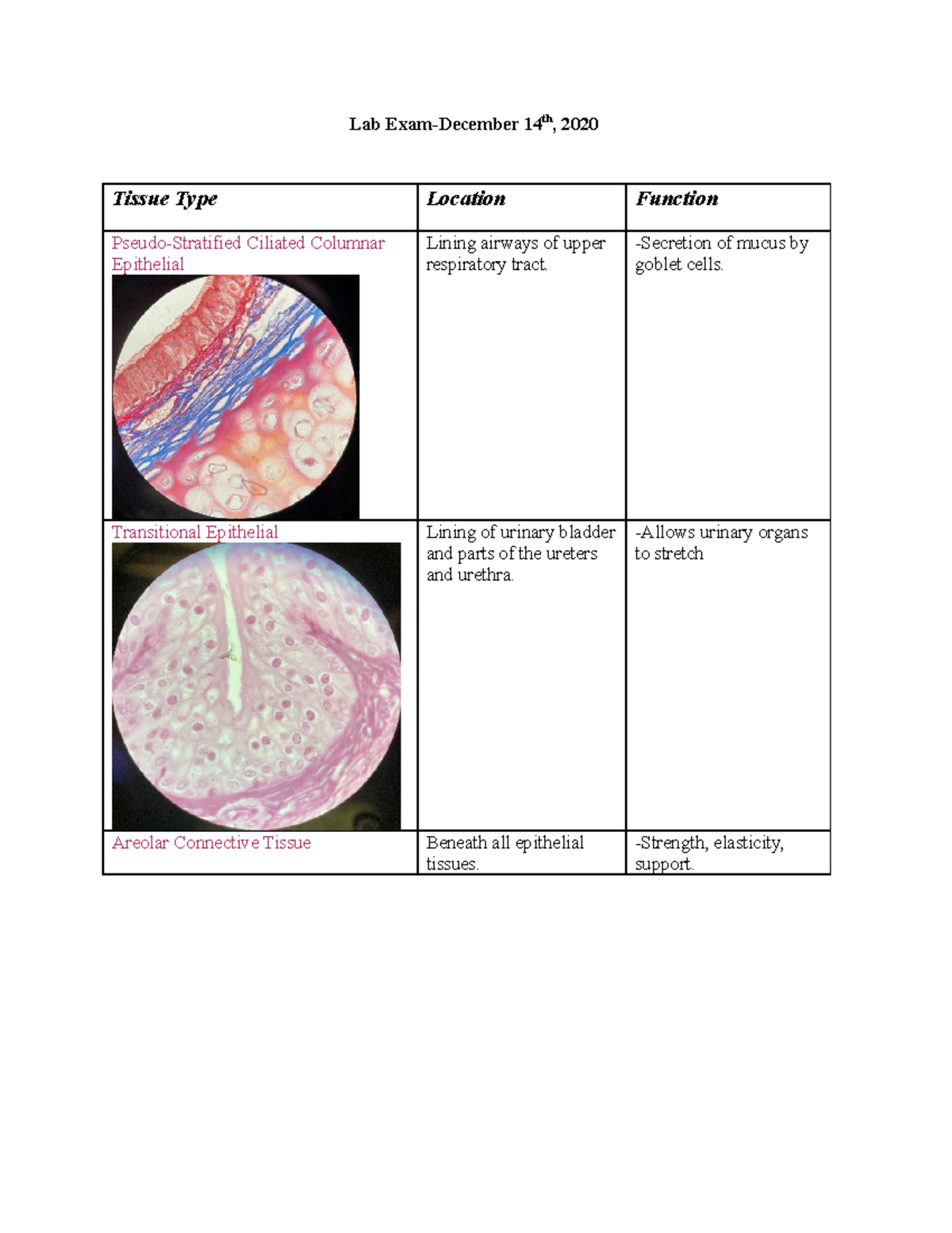 Lab Exam-December 15th^J 2020 - Lab Exam-December 14th, 2020 Tissue ...