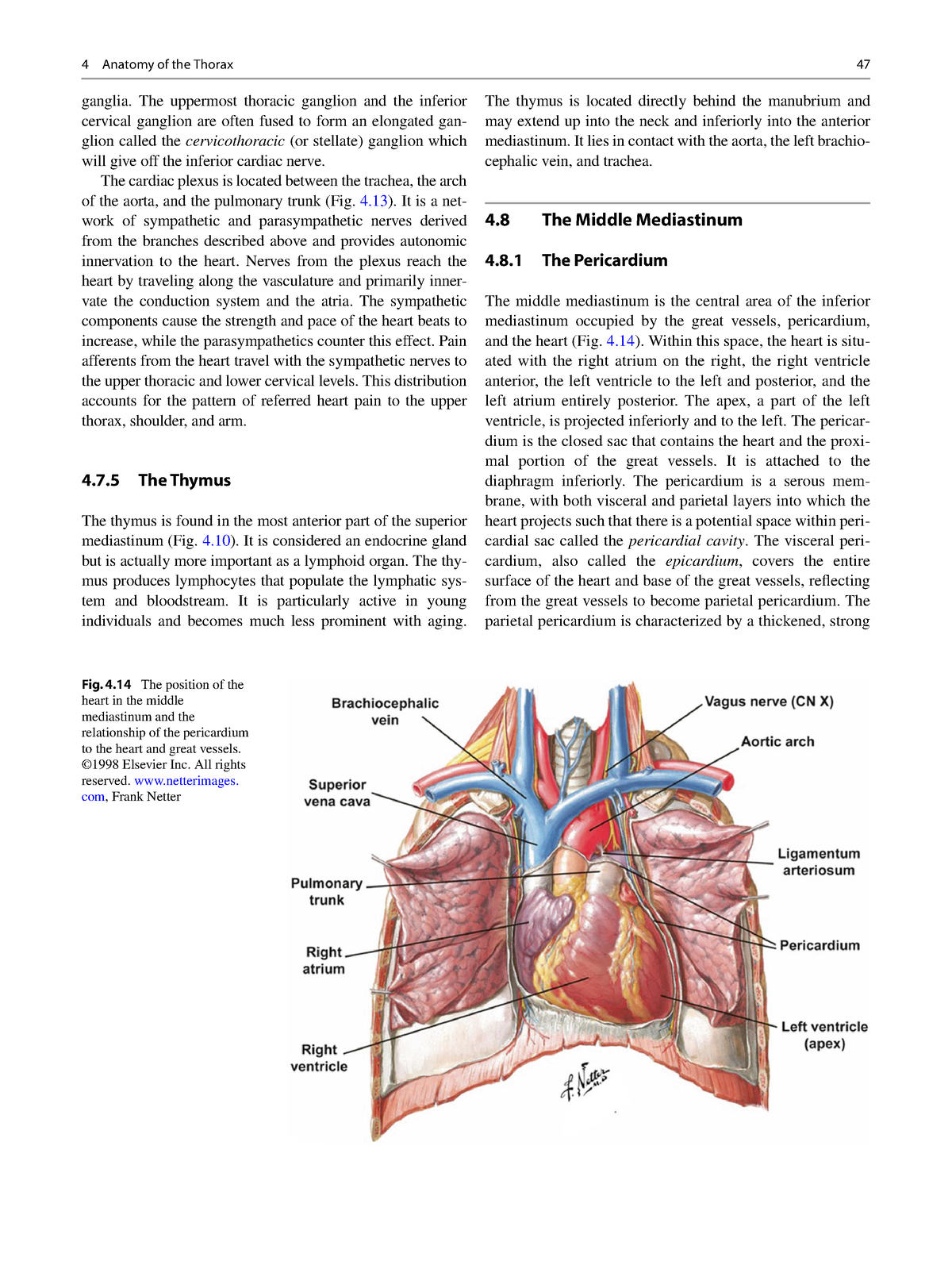 Handbook Of Cardiac Anatomy Physiology And Devices 19 - 47 Ganglia. The ...