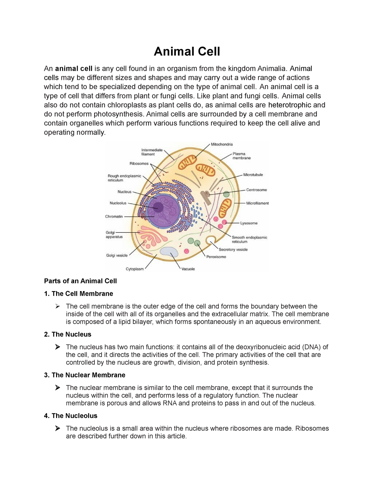 Parts Of An Animal Cell And Plant Cell Studocu