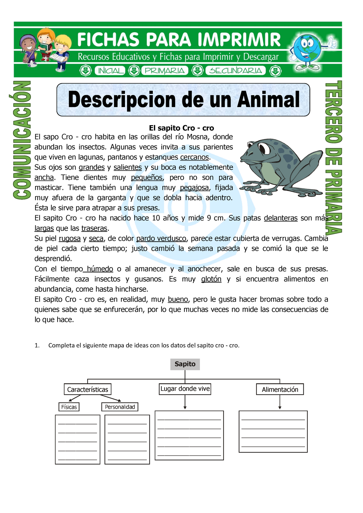 Ficha Descripcion de un Animal para Tercero de Primaria - El sapito Cro -  cro El sapo Cro - cro - Studocu
