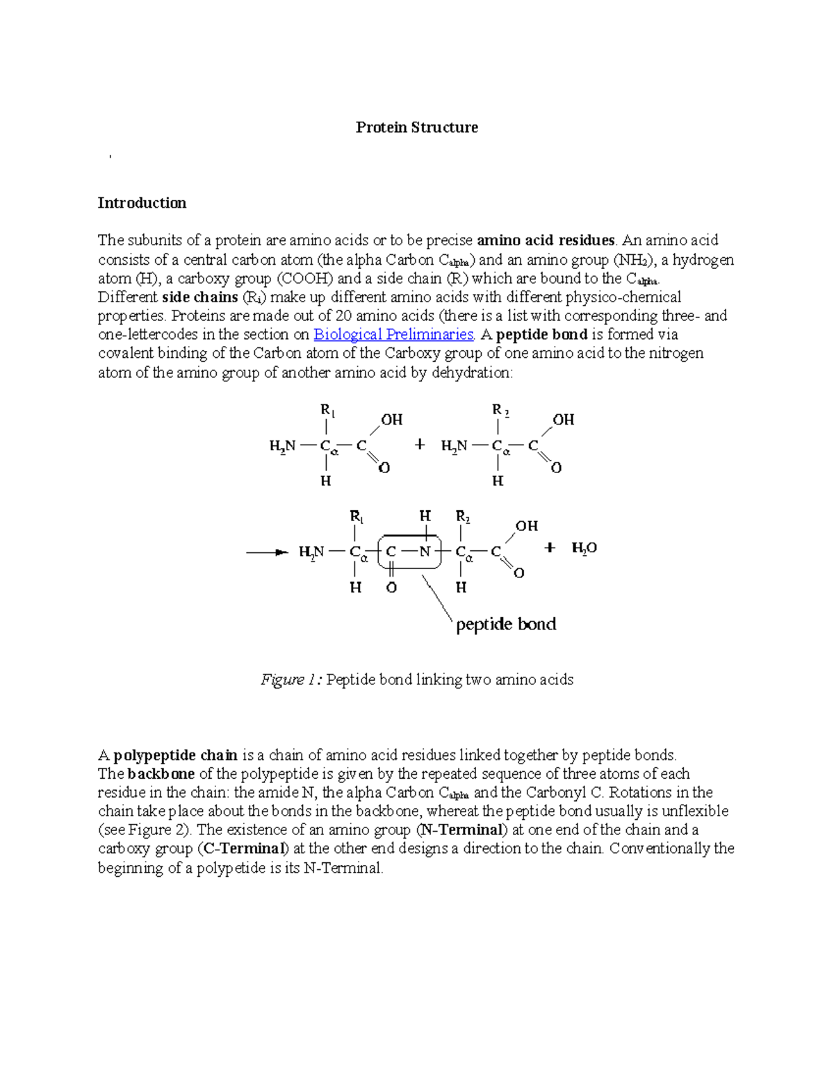 Protein Structure Lecture notes 13 Protein Structure Introduction