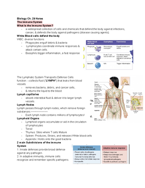 BUS 250 Exam 2 Review - Study Online At Quizlet/_d39hxn Parties Form A ...