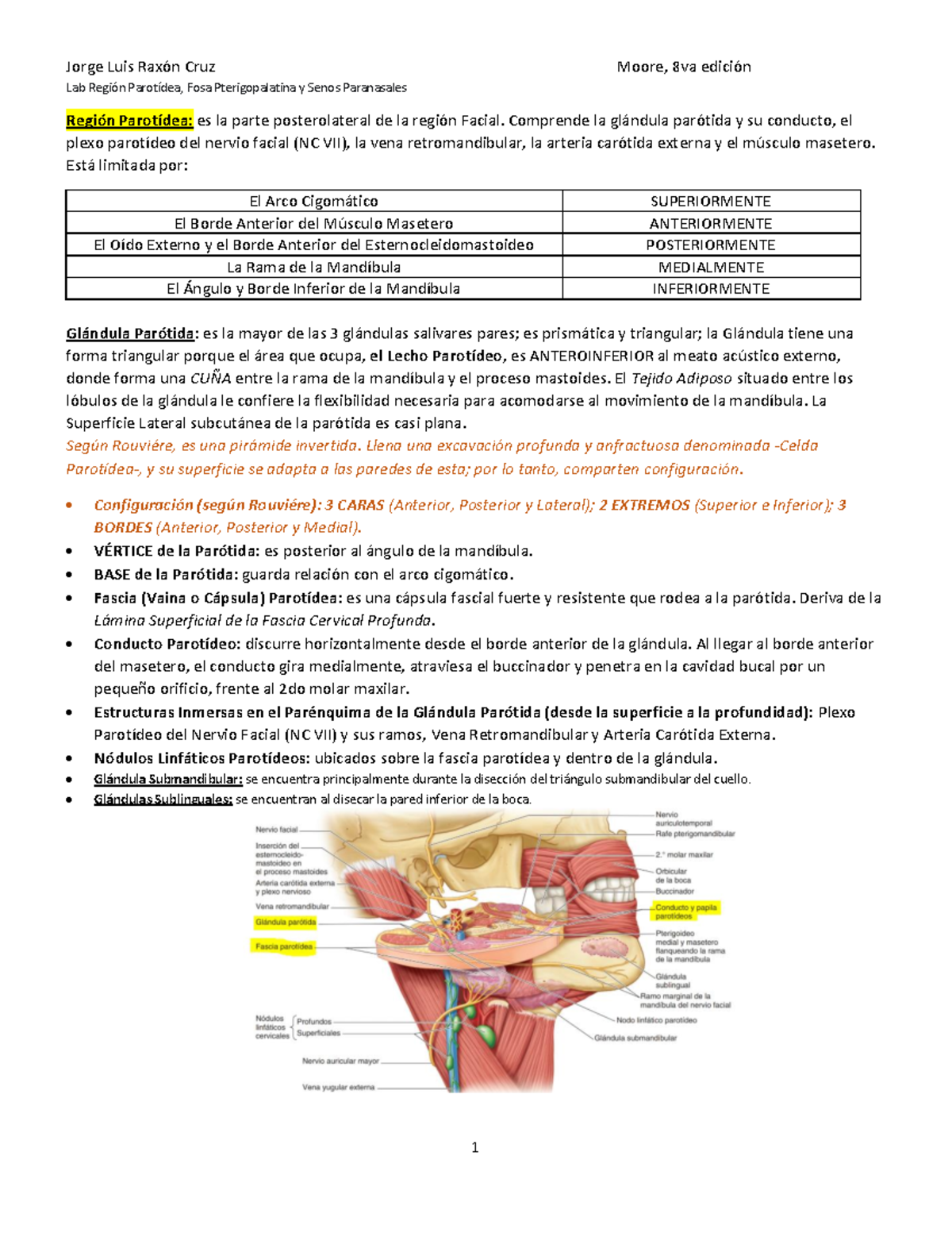 región parotídea