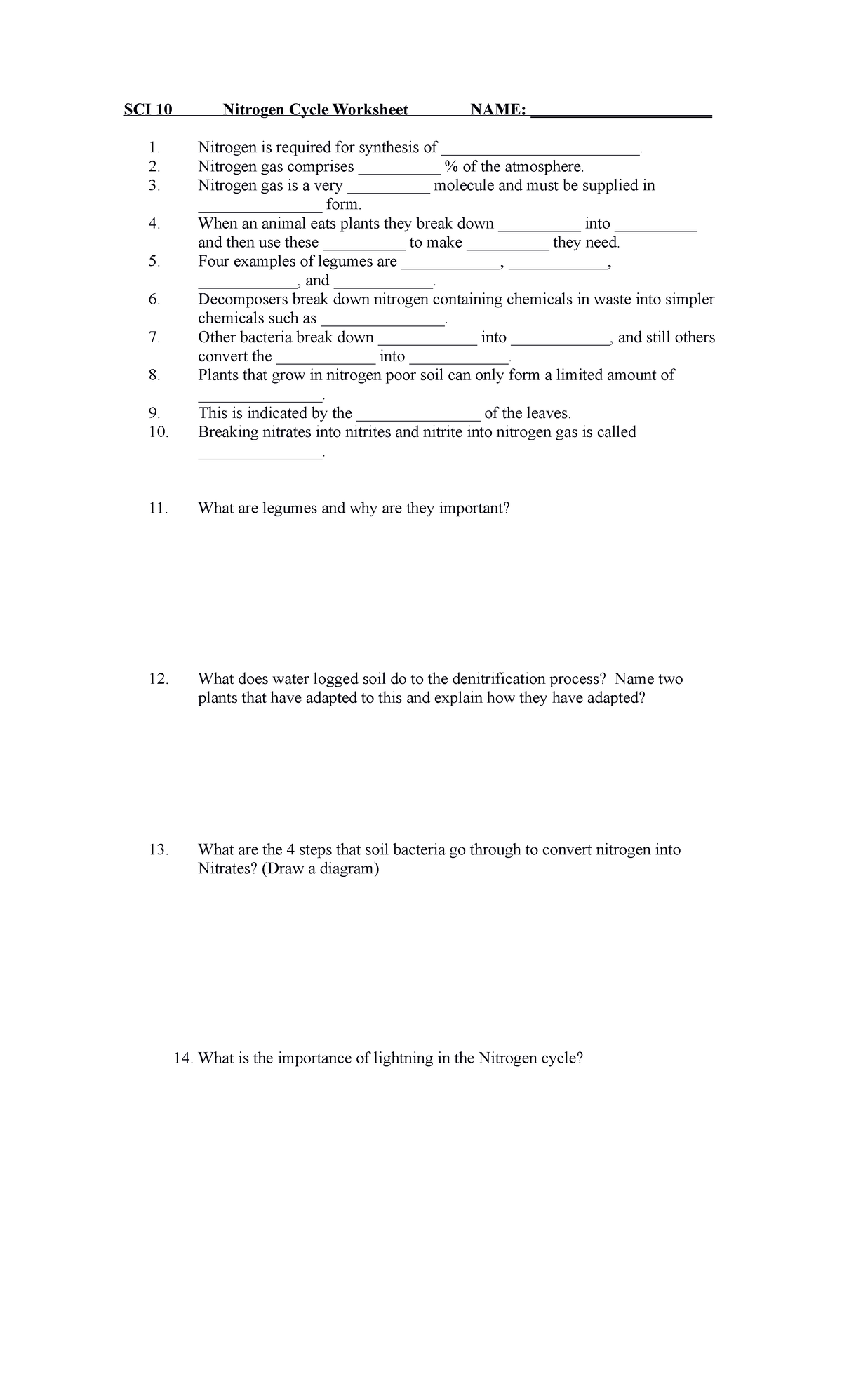 Sci Nitrogen Cycle Worksheet New 2022 SCI 10 Nitrogen Cycle Worksheet sci-nitrogen-cycle-worksheet-new-2022-sci-10-nitrogen-cycle-worksheet