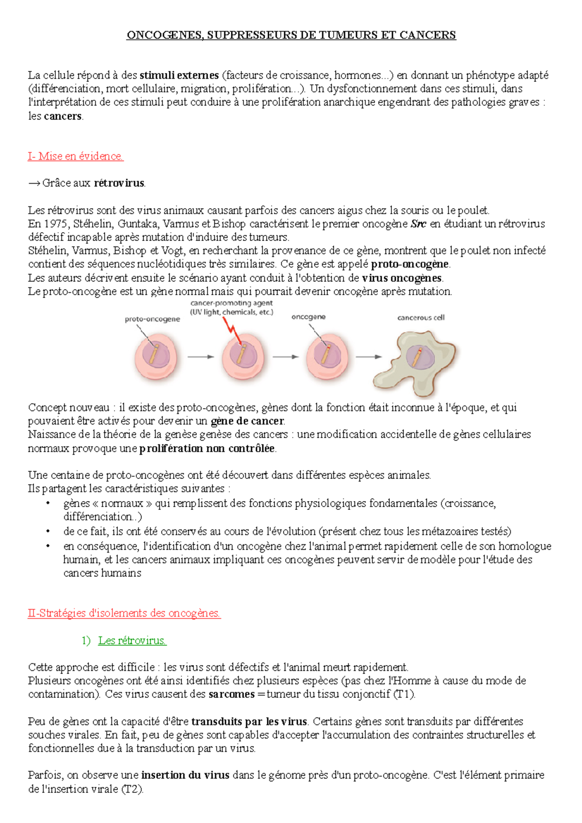 3 Oncogenes Co Cours De Dynamique Cellulaire Annee L3 Oncogenes Suppresseurs Studocu