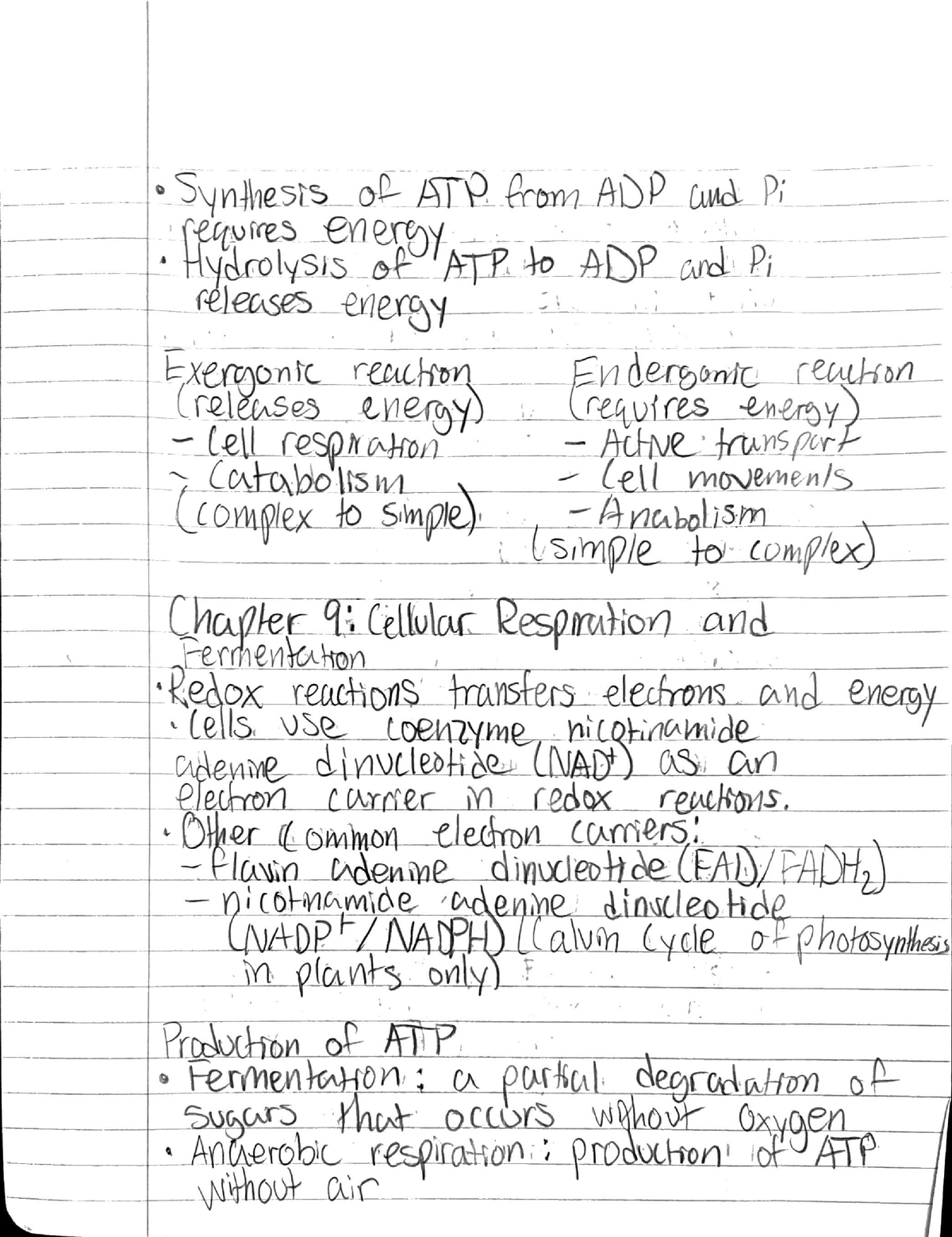 Chapter 9- cellular respiration and fermentation - Thumb 1200 1559