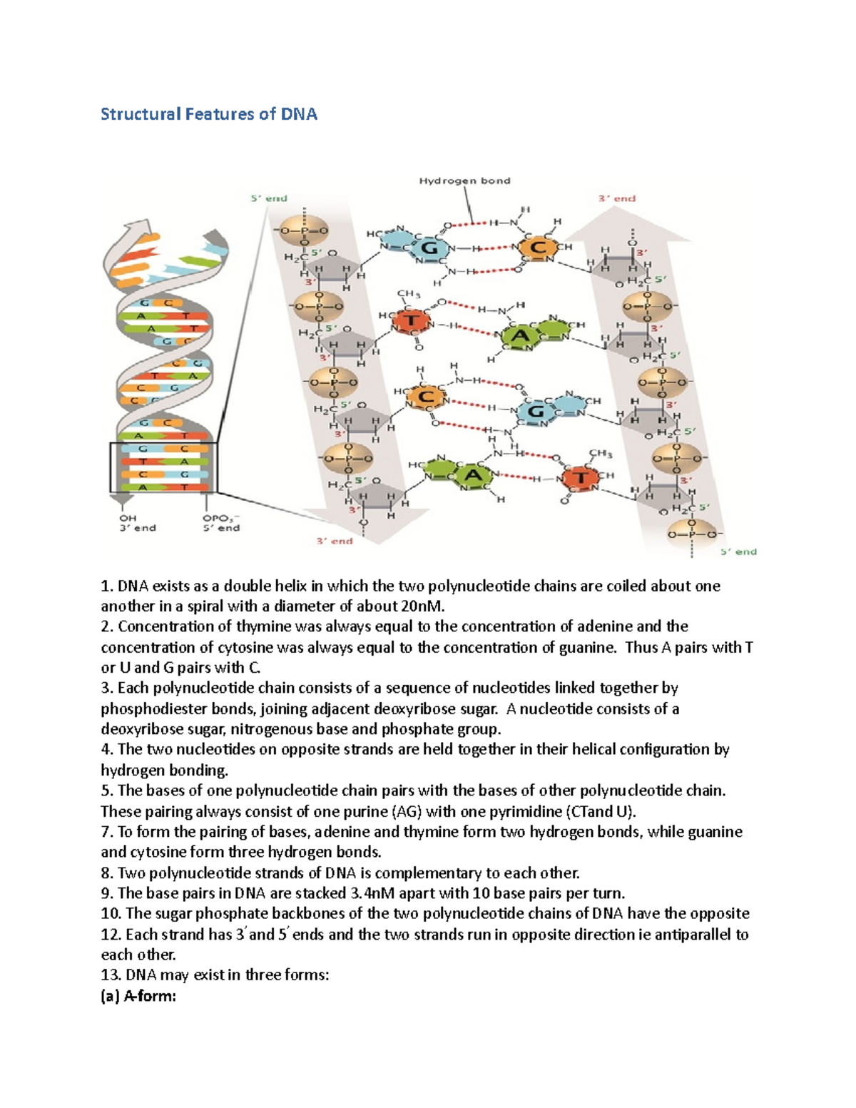 Structural Features of DNA - Concentration of thymine was always equal ...