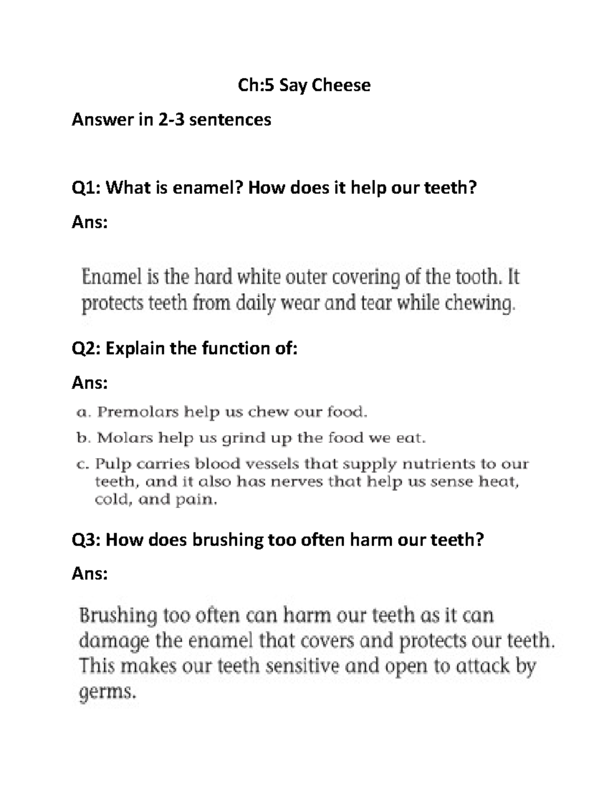 Ch5 Say Cheese Tesy Ch5 Say Cheese Answer in 23 sentences Q1