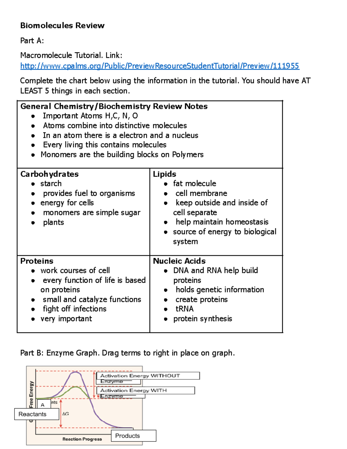 Biomolecules Review Biomolecules Review Part A Macromolecule Tutorial. Link Studocu