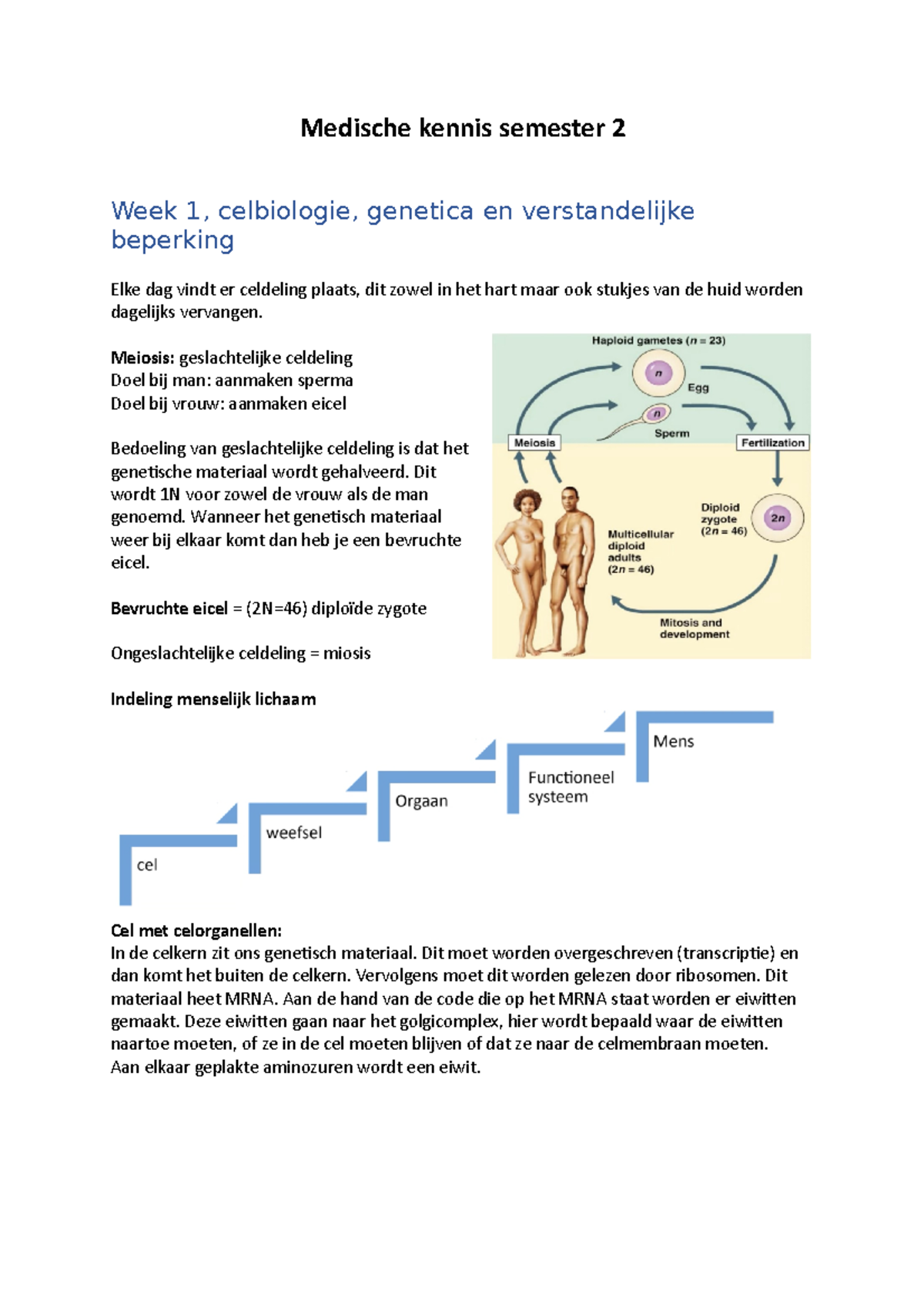 Medische Kennis Jaar 2 Tentamen Jeugd - Medische Kennis Semester 2 Week ...