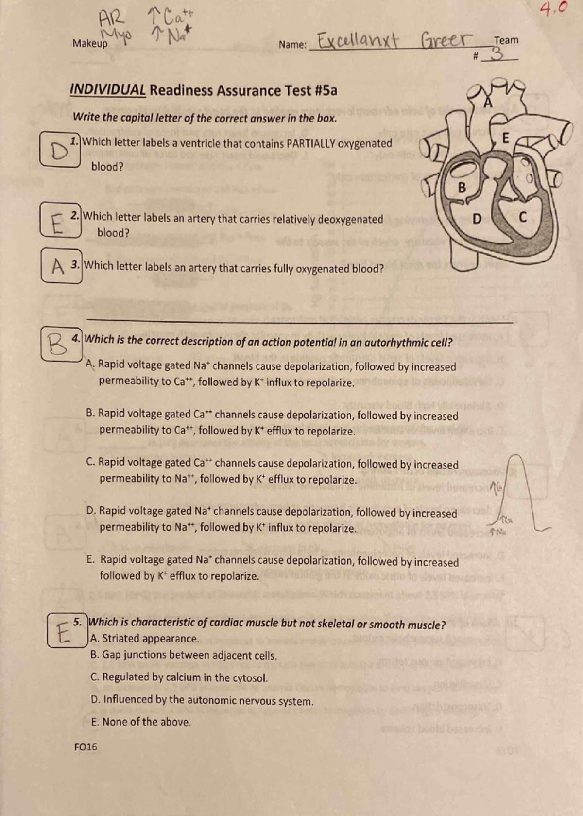 bio 277 unit 4 homework