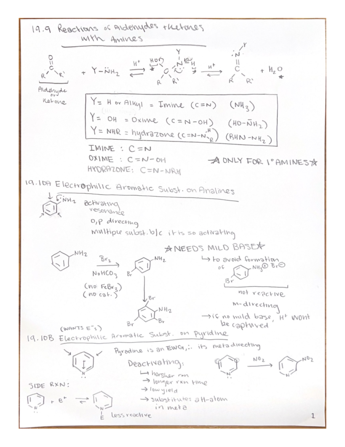 Chapter 19 Amine reactions Exam 3 Review Sheet - CHEM 302 - Studocu