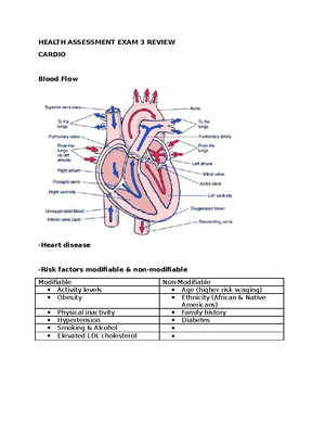 Chapter 13 - Chapter 13: Skin, Hair, And Nails Structure: Skin Think Of ...