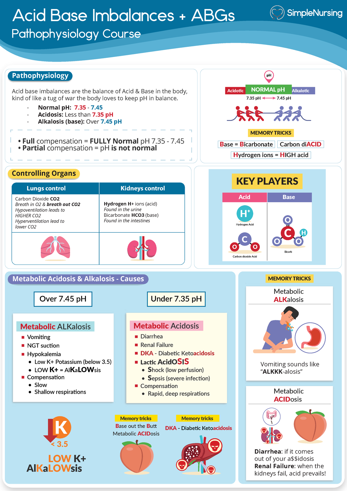 Partially Compensated Respiratory Acidosis Causes