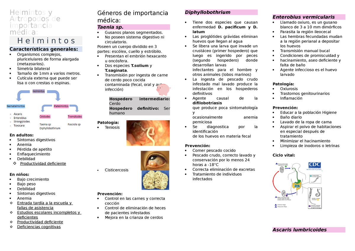 Helmintos Y Artr Podos De Importancia M Dica Helmintos Y Artr Podos De Importancia M Dica H E