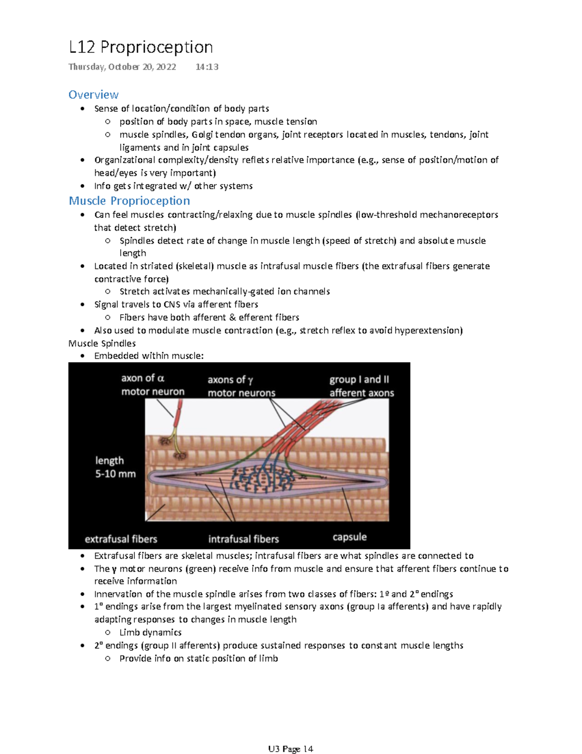 Overview Sense of locationcondition of Biology Diagrams