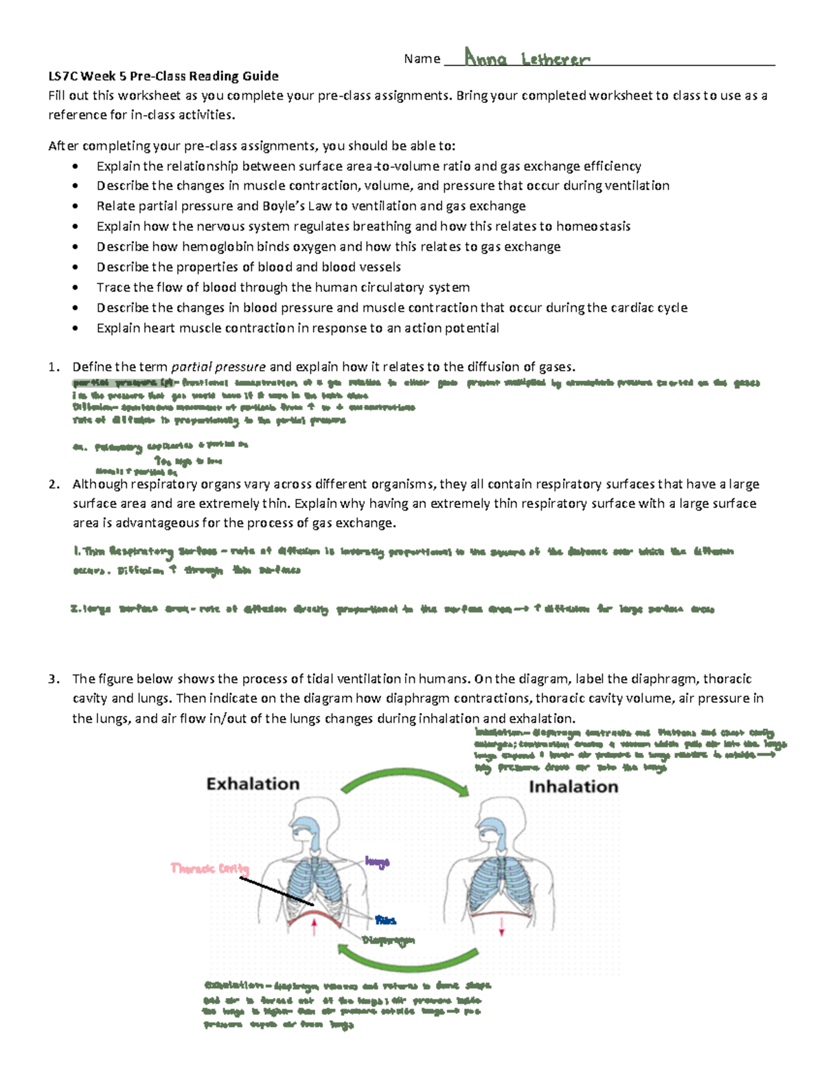 Week 5 Pre Class - Review of week 5 - Name ...