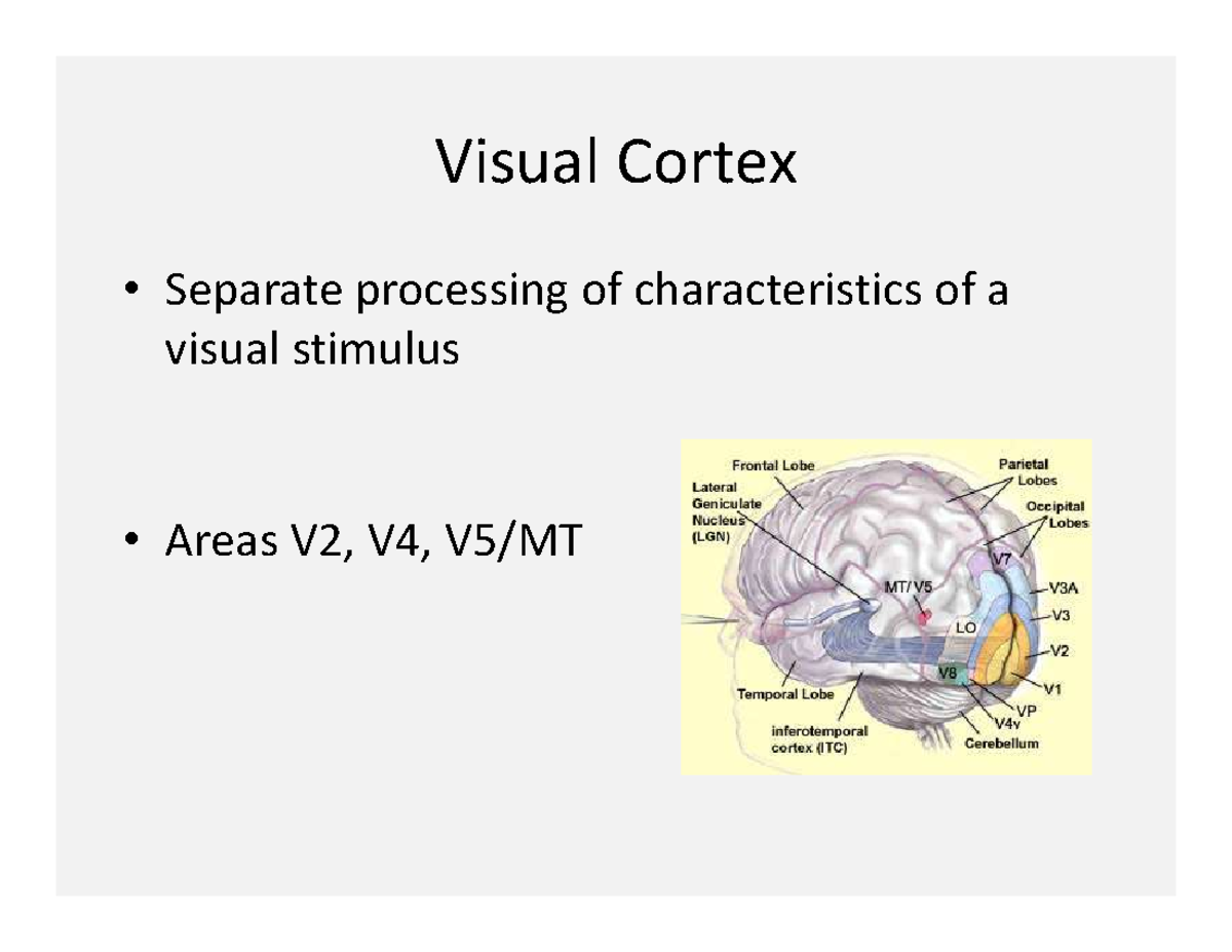 7 - Lecture Notes 4 - Separate Processing Of Characteristics Of A ...