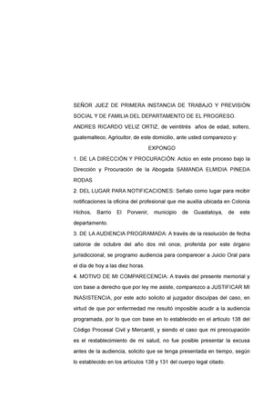 309350056 Excusa de Incomparecencia a Audiencia de Juicio Oral - SEÑOR JUEZ  DE PRIMERA INSTANCIA DE - Studocu