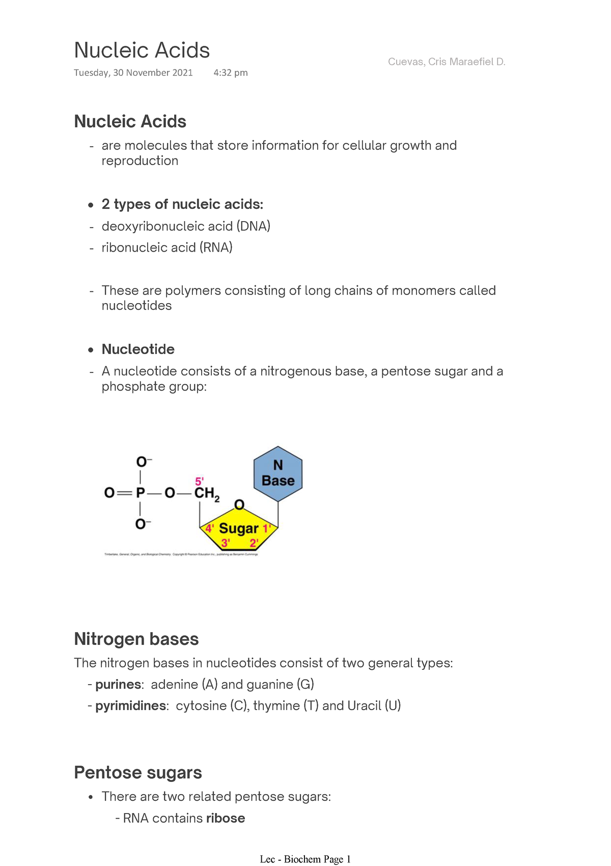 Nucleic Acids Are Complex Organic Molecules That Store