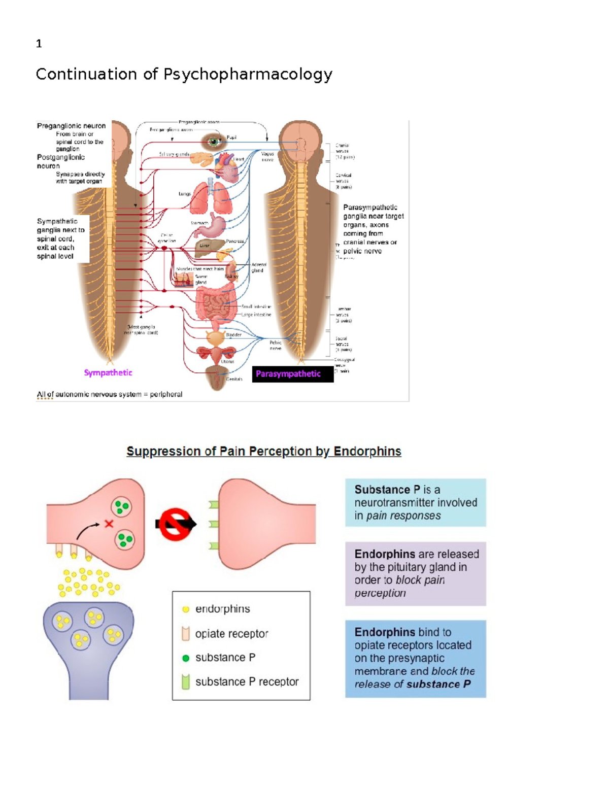 vision-class-notes-continuation-of-psychopharmacology-vision