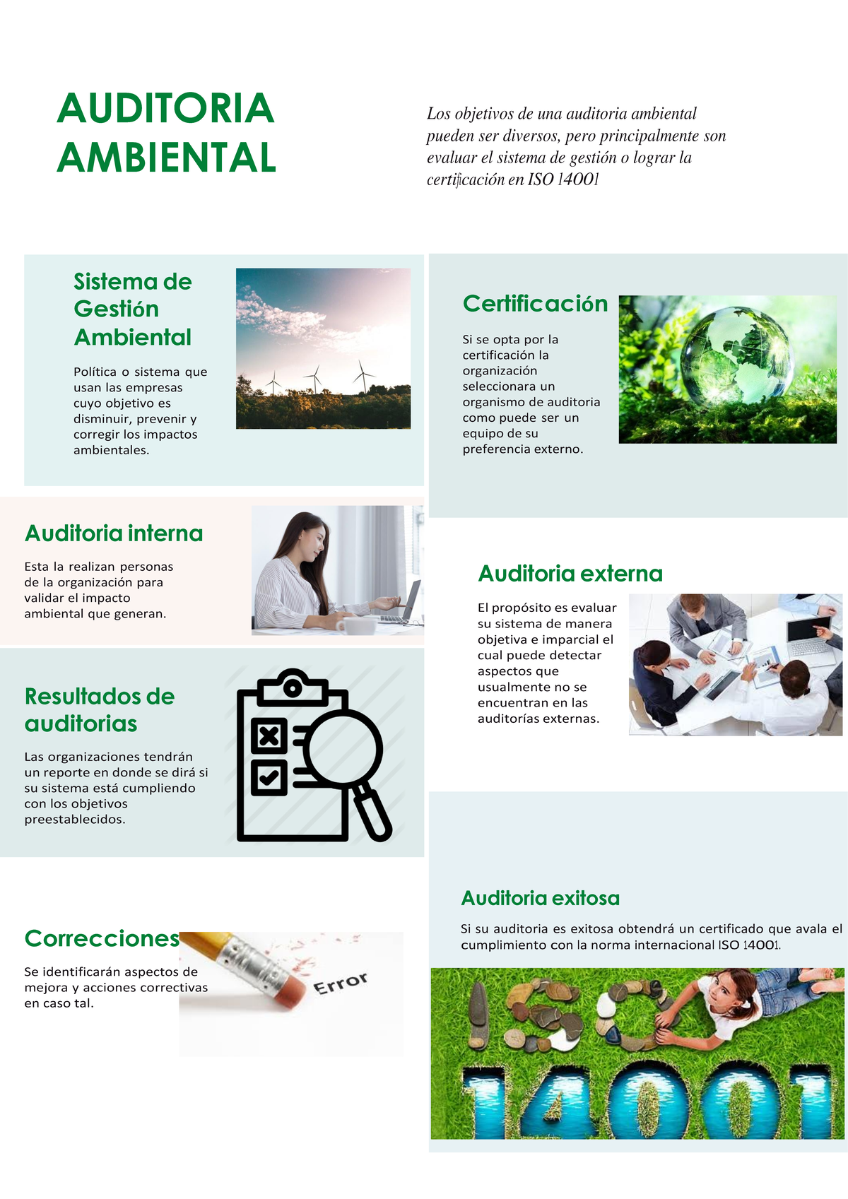 Póster Apuntes 876514961 Auditoria Ambiental Los Objetivos De Una