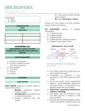 Review Questions 2 MIL - REVIEW QUESTIONS Media and information ...
