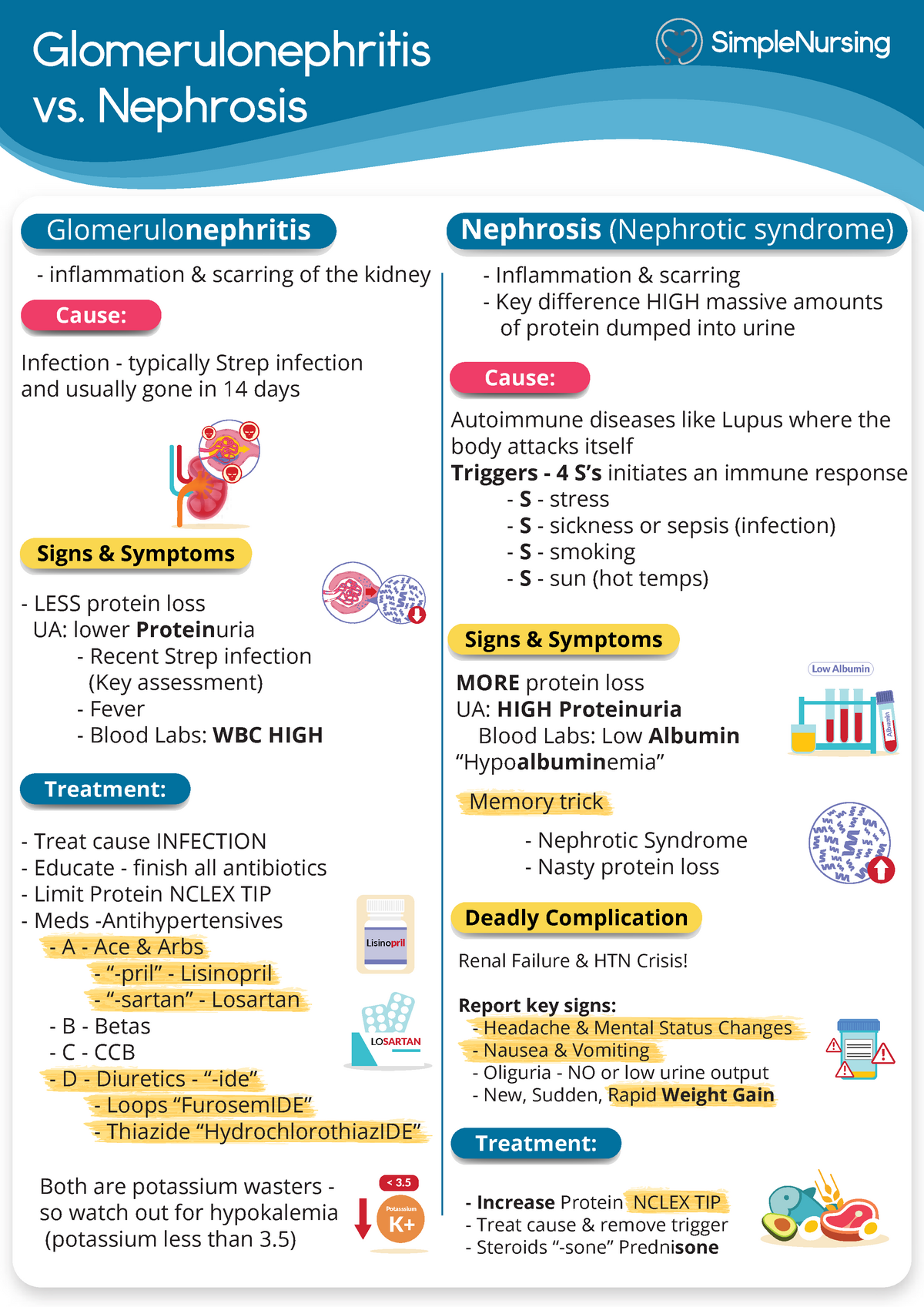 glomerulonephritis-vs-nephrosis-210-studocu