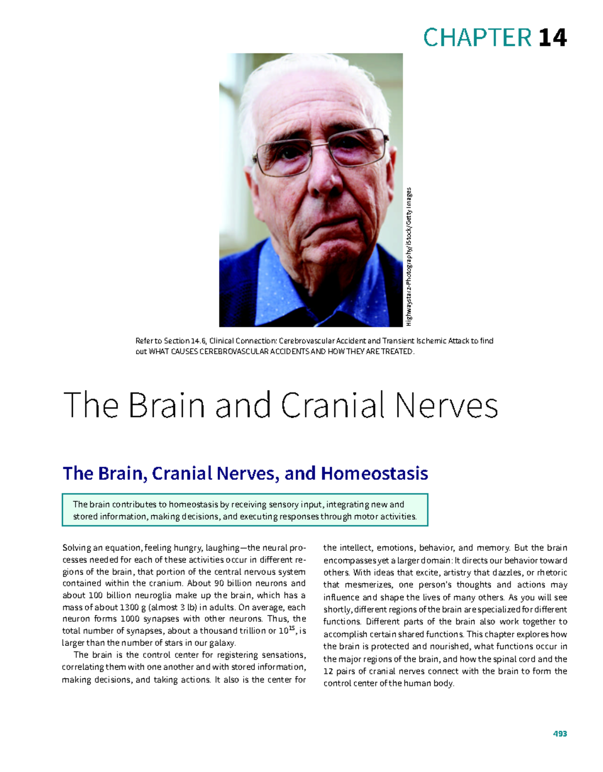 Chapter 14 - 493 CHAPTER 14 The Brain and Cranial Nerves Solving an ...