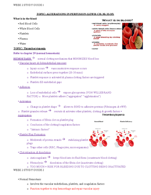 ngn case study respiratory 1