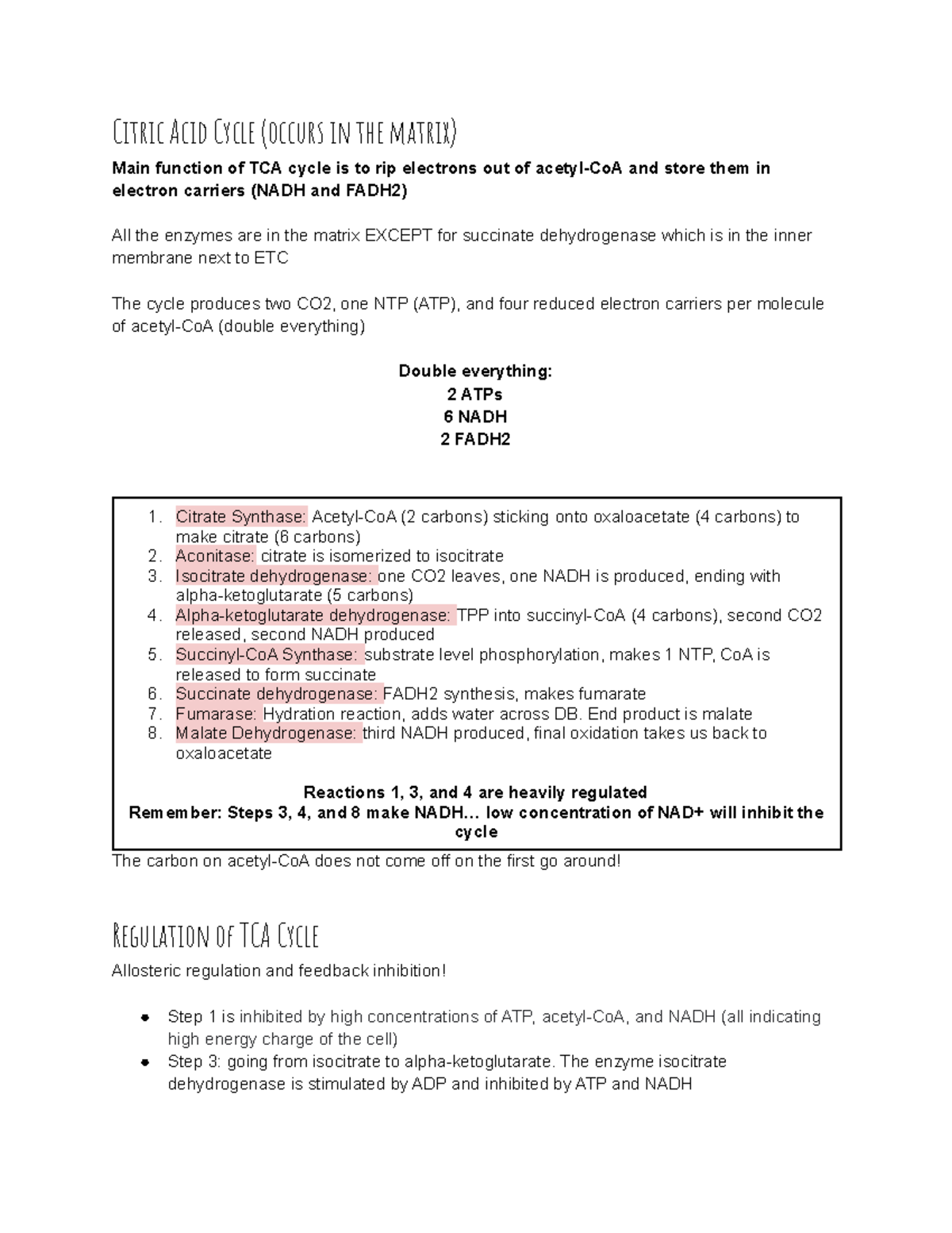 TCA Cycle, ETC, and Oxidative Phosphorylation Typed Study Guide