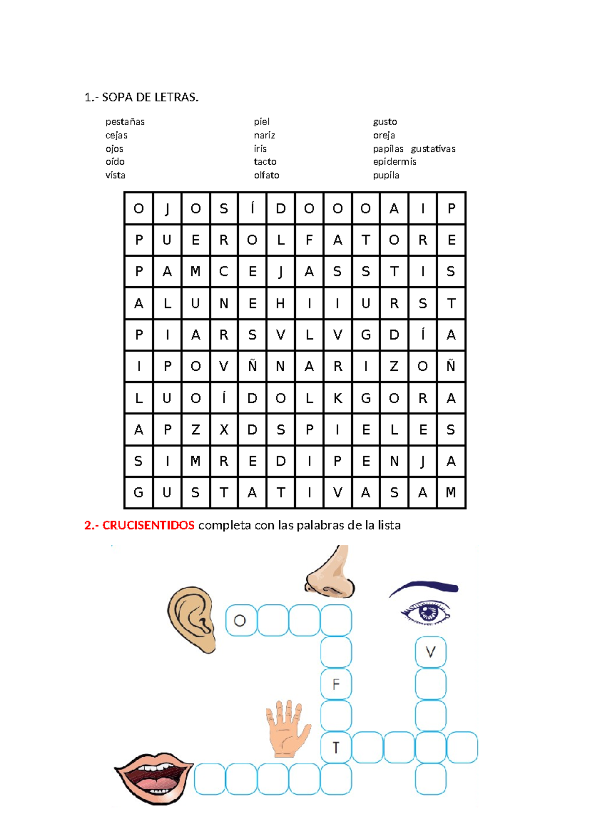 Los sentidos - ESPERO SEA DE MUCHA AYUDA - 1.- SOPA DE LETRAS. pestañas ...
