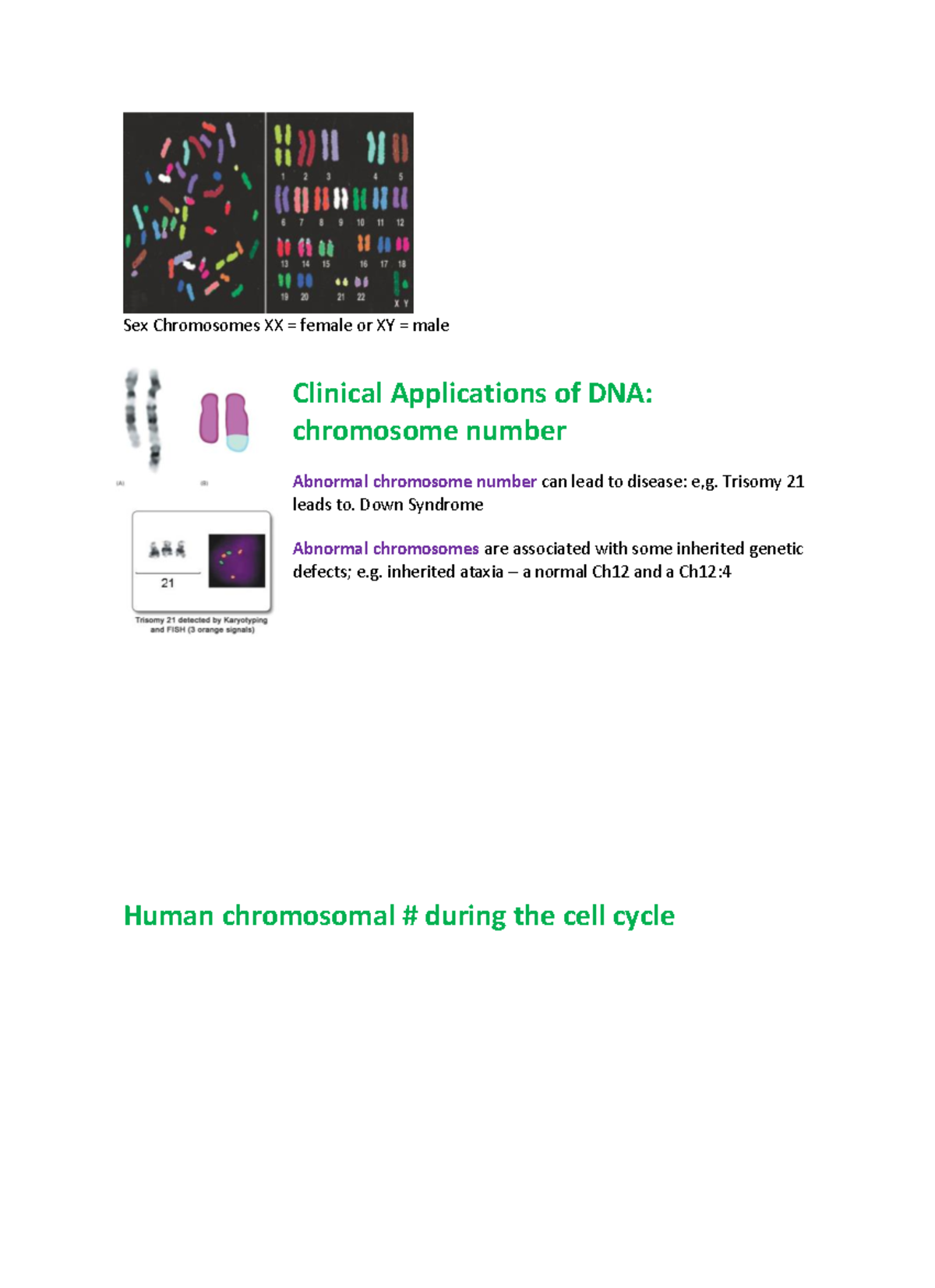 Dna Replication Part 4 Sex Chromosomes Xx Female Or Xy Male