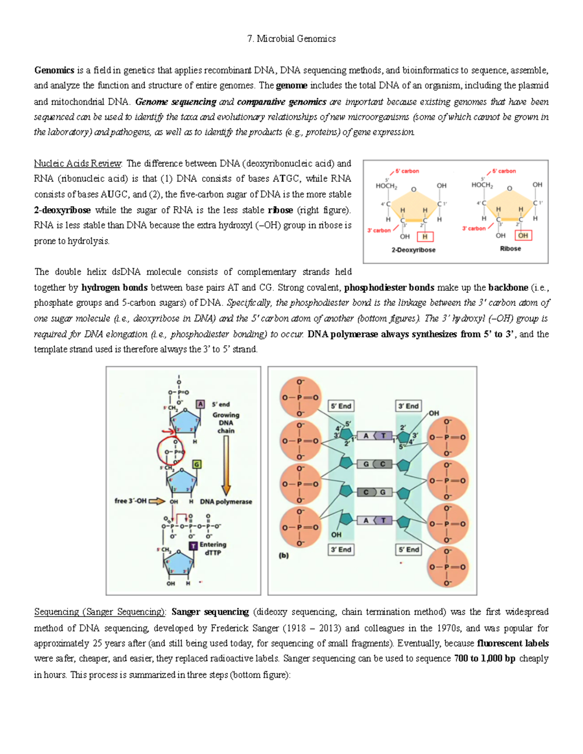 BIO 315 Microbial Genomics Summary - Microbial Genomics Genomics Is A ...